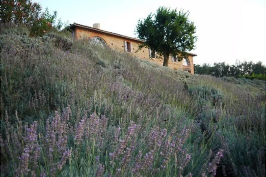 Villa Magnifique Grand Gite Entier Avec Piscine Et Vue Lezat-sur-Leze