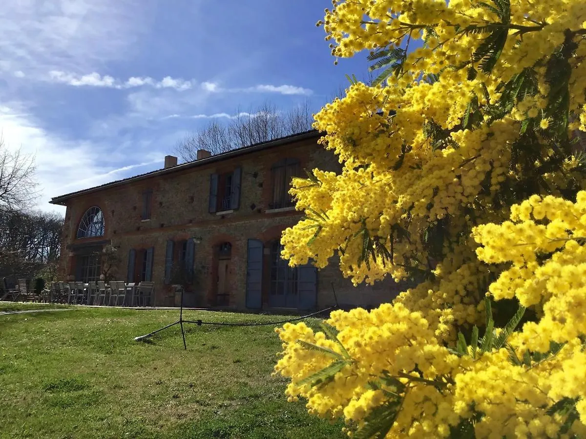 Magnifique Grand Gite Entier Avec Piscine Et Vue Lezat-sur-Leze France
