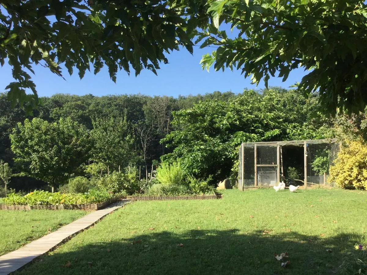 Magnifique Grand Gite Entier Avec Piscine Et Vue Lezat-sur-Leze 0*,  France