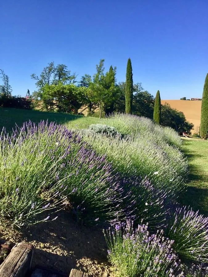 Magnifique Grand Gite Entier Avec Piscine Et Vue Lezat-sur-Leze Fransa